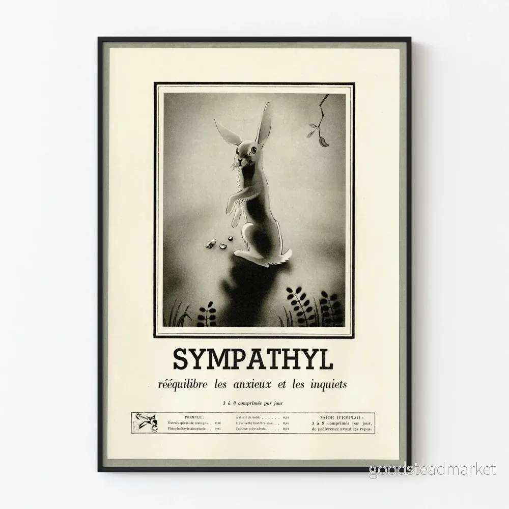 Vintageposter Sympathyl Kanin för lugnande väggdekoration Vintageposter Sympathyl Kanin för lugnande väggdekoration