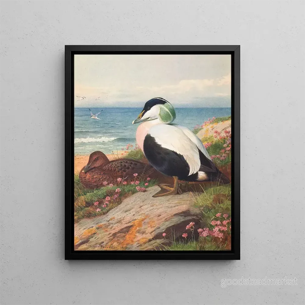 Målning Älgand – Archibald Thorburn | Konsttryck Målning Älgand – Archibald Thorburn | Konsttryck