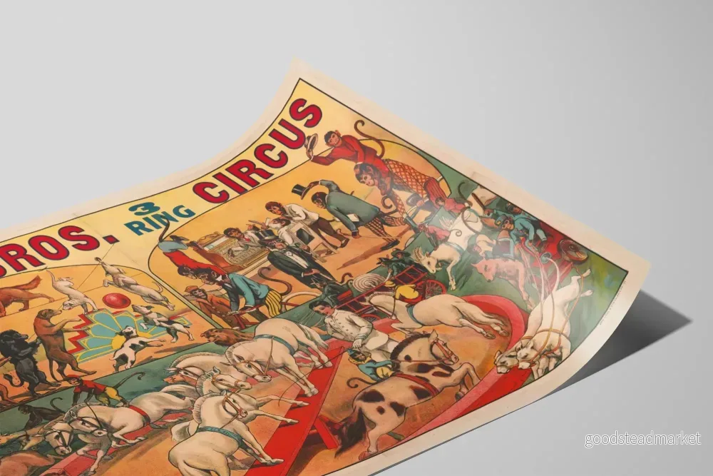 Vintageposter Eddy Bros. 3-ringcirkus – Väggdekoration cirkusdjur och apor - Bild 2