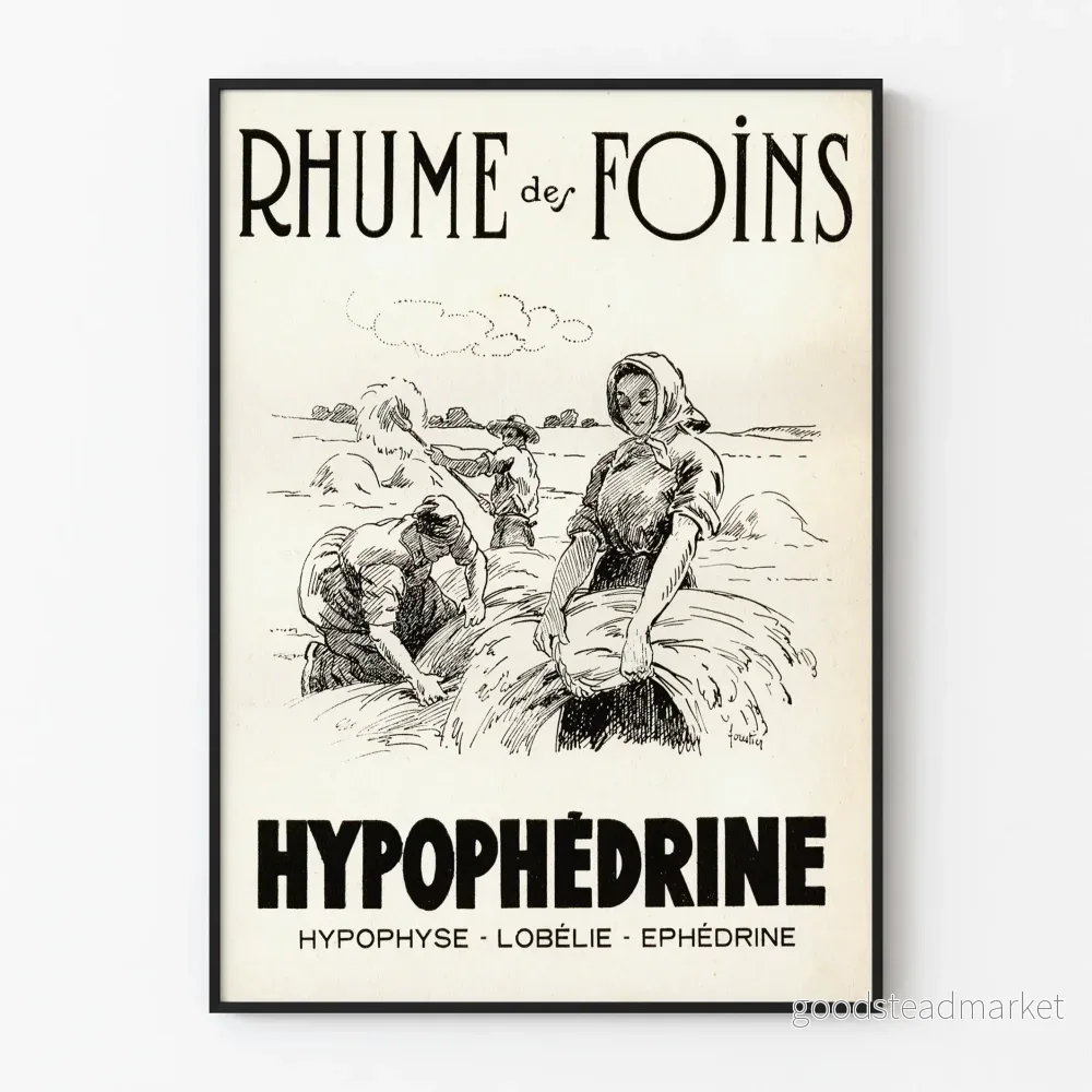 Vintageposter för gräsallergi med hypofedrin, väggdekoration