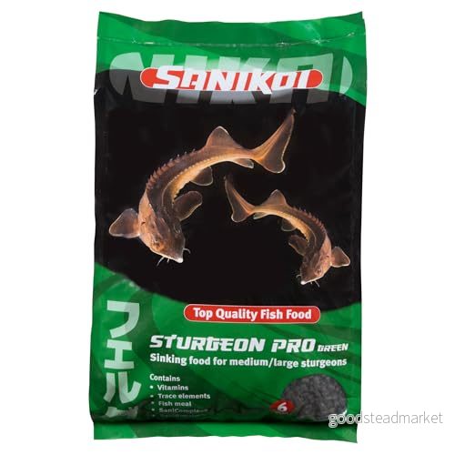 Velda SaniKoi 124581 huvudfoder för störar, sjunkande, 6 mm, sturgeon Pro grön, 3 l 8711921240896