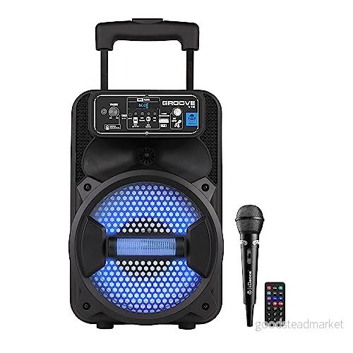 Cefa Toys iDance Bärbar högtalare med Mikrofon och fjärrkontroll Groove, Färg Svart (00358) 8412562003580