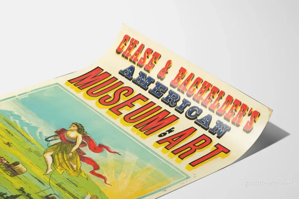 Vintageposter från American Museum of Art Chase & Bachelder's - Bild 3