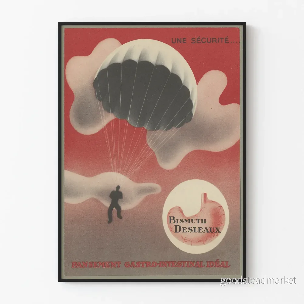 Vintageposter Bismuth Desleaux - Idealiskt mag-tarmförband