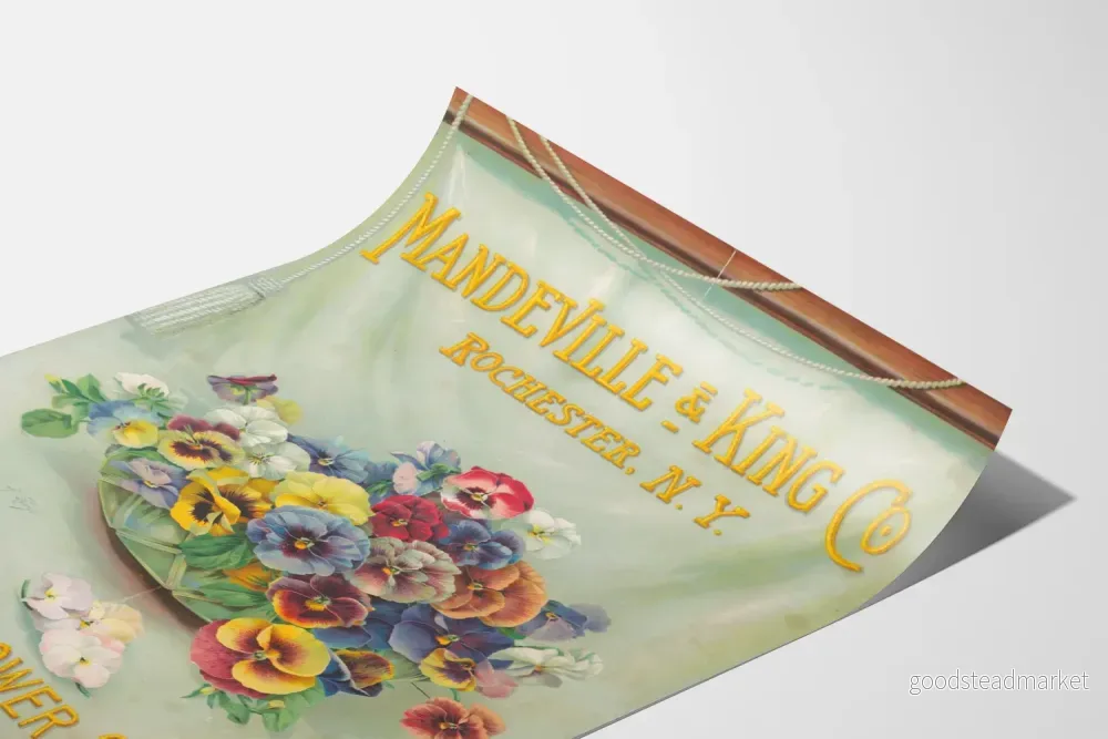 Vintageposter med blommor Penséer Mandeville & King Co - Bild 3