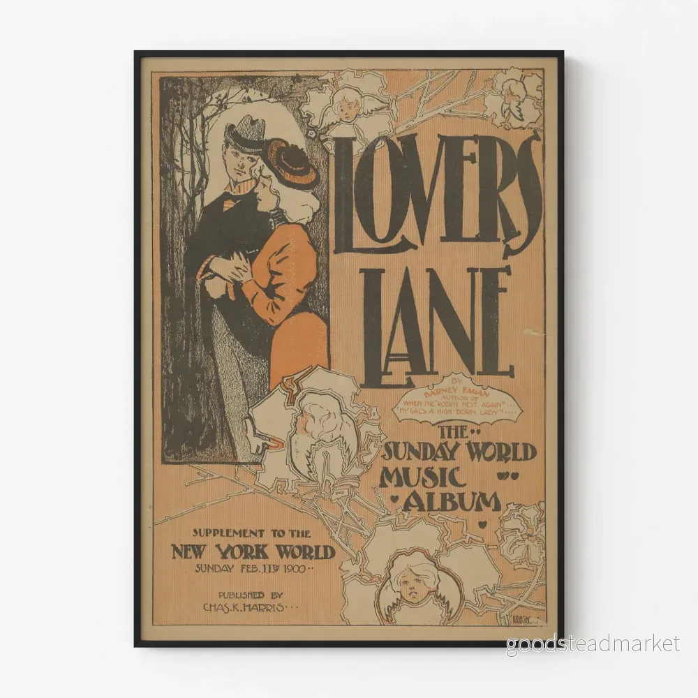Vintageposter Lovers Lane - Retro musikväggdekoration