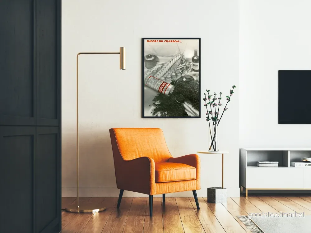 Vintage reklamposter Passi Charbon för retro väggdekoration - Bild 2