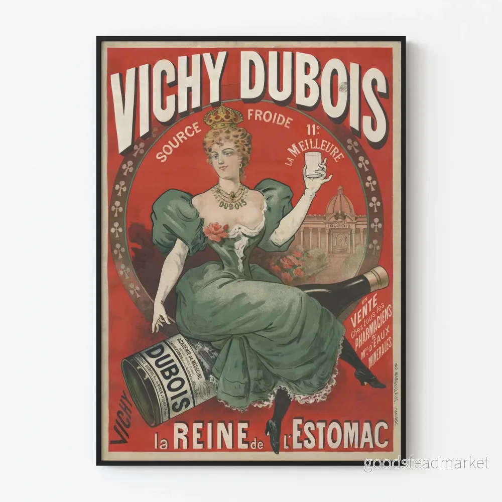 Vintageposter Vichy Dubois source cold för väggdekoration Vintageposter Vichy Dubois source cold för väggdekoration