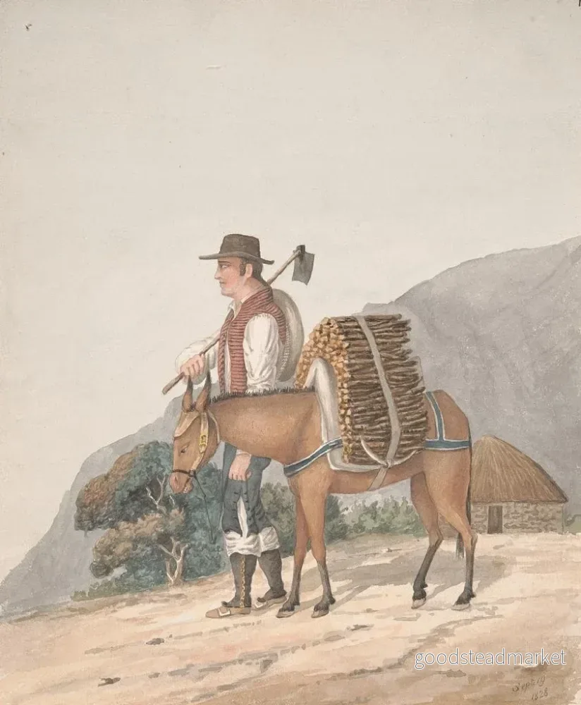 Målning Värmelastare i Tenerife - Alfred Diston - Bild 2