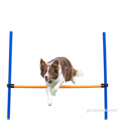 Trixie Dog Fun Agility Hurdle 123x115cm 4011905032078