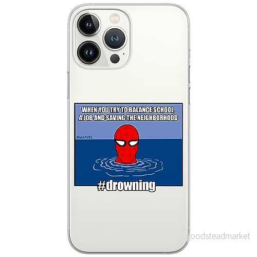 ERT GROUP mobiltelefonfodral för Iphone 13 PRO MAX originalt och officiellt licensierat Marvel mönster Spider Man 037 optimalt anpassad till formen på mobiltelefonen, gedeeltelijk transparant 5905795012779