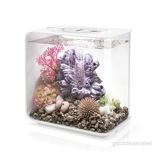 OASE biOrb FLOW 15 LED akvarium, liter akvarier komplett set med belysning och patenterat filtersystem, akrylhandfat i vitt 822728720301
