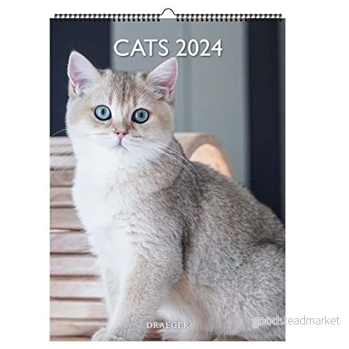Draeger Paris dekorativ väggkalender för katter 2024 att hänga upp 29 x 39 cm 16 månader sju 23 till dec 24 7 språk kontorskalender, hem, månad dekoration, organisation FSC® certifierat 3045671083317