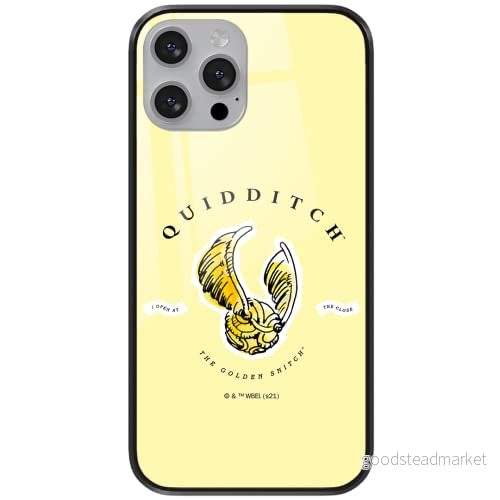 ERT GROUP mobiltelefonfodral för Apple Iphone XS Max originalt och officiellt licensierat Harry Potter mönster 071 tillverkad av härdat glas, optimalt anpassat till mobilens form, skyddsfodral 5903932752359