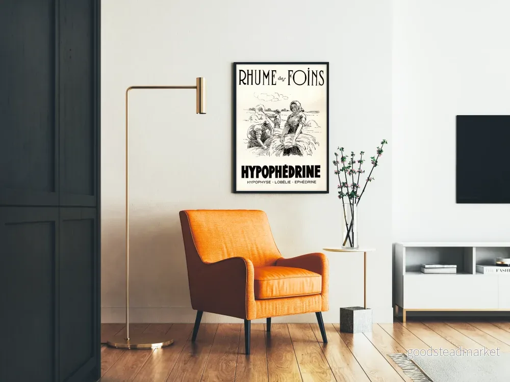 Vintageposter för gräsallergi med hypofedrin, väggdekoration - Bild 2