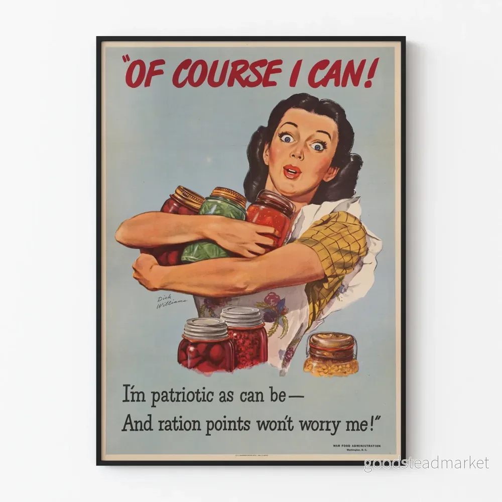 Vintage poster för väggdekoration « Of Course I Can »