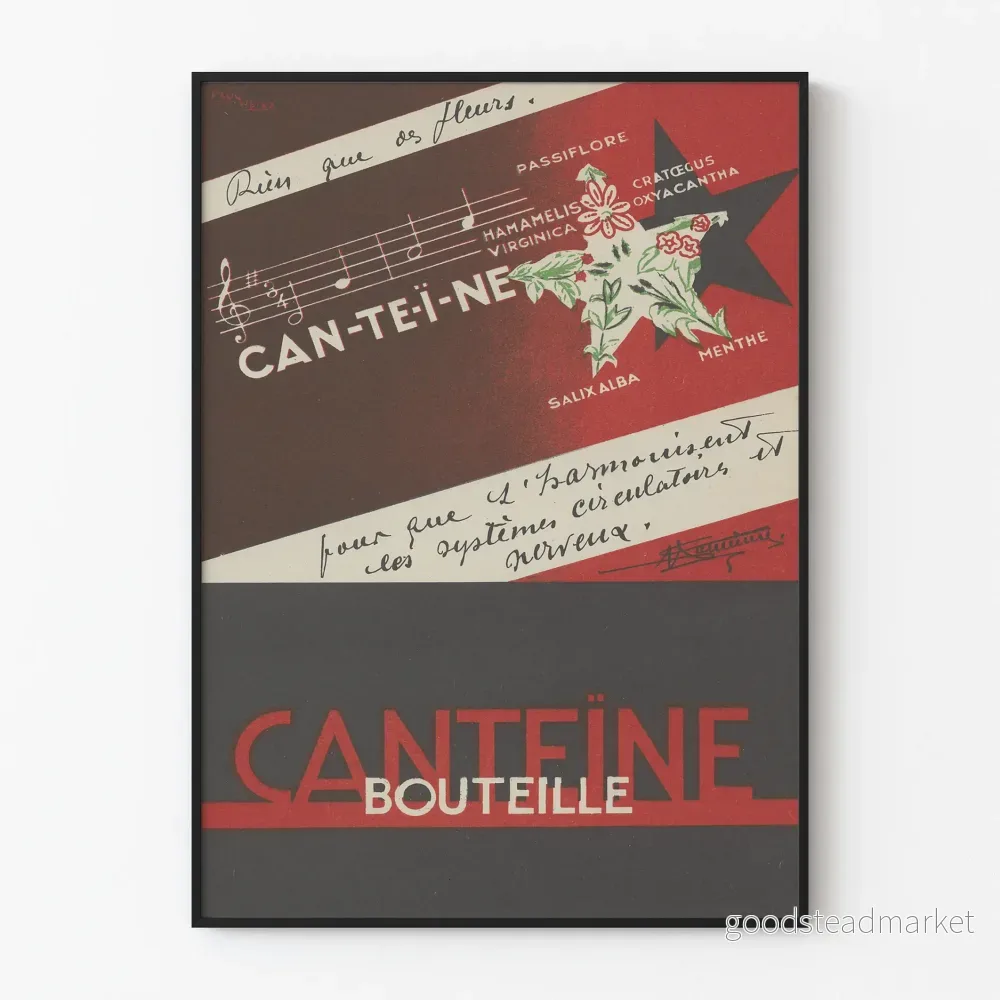 Vintageposter Canteïne väggdekoration med växtmotiv