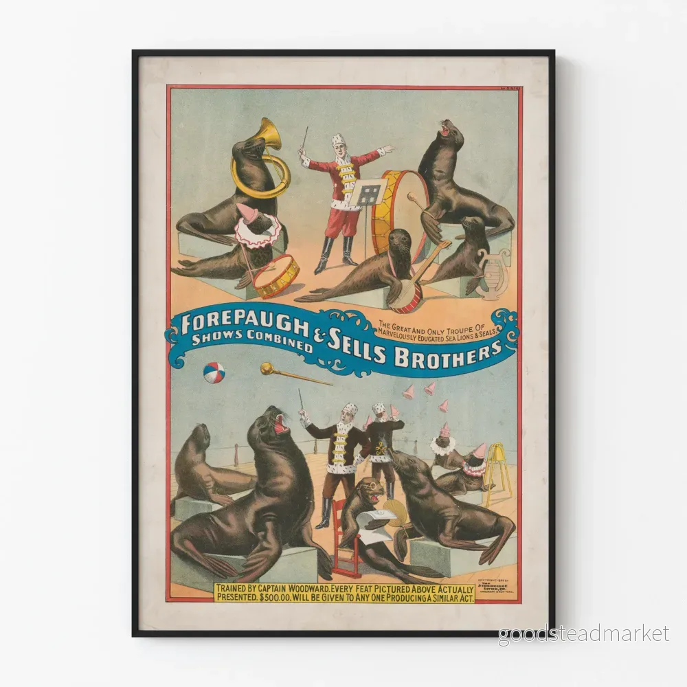 Vintageposter med sjölejon- och sälartrupp Forepaugh & Sells Brothers