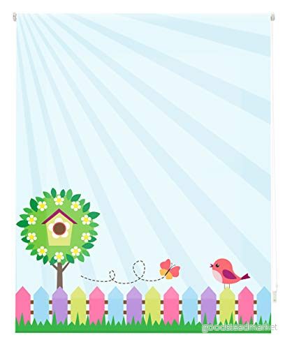 Blindecor Estor digital genomskinlig rullning, Barn, W I 93570, Färg Baby Bird, 110X180 cm 8434363015203