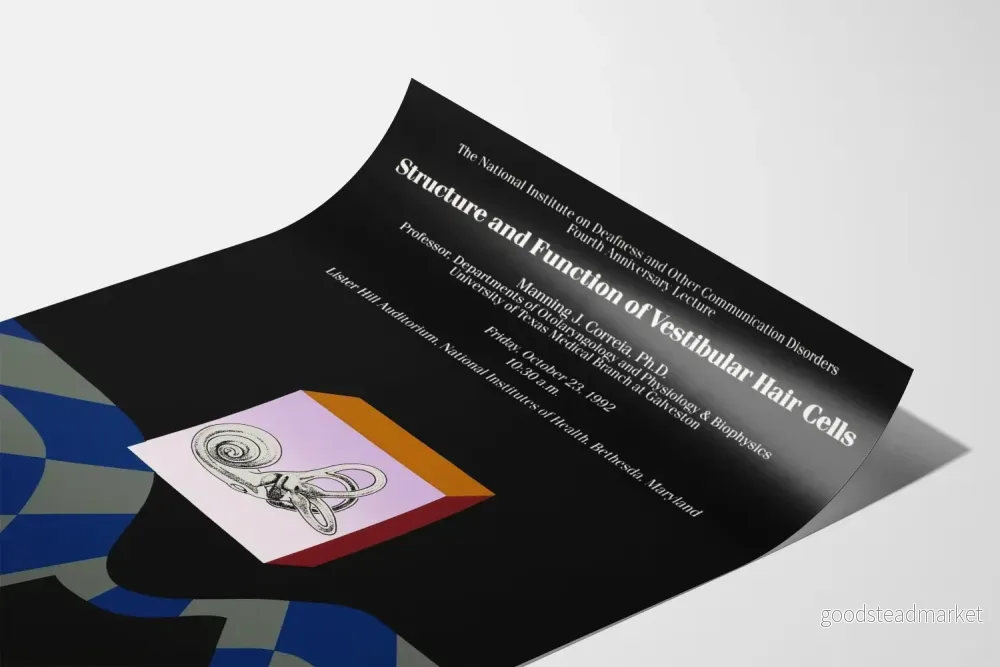 Vetenskaplig poster om strukturen och funktionen hos vestibulära cilier celler - Bild 3