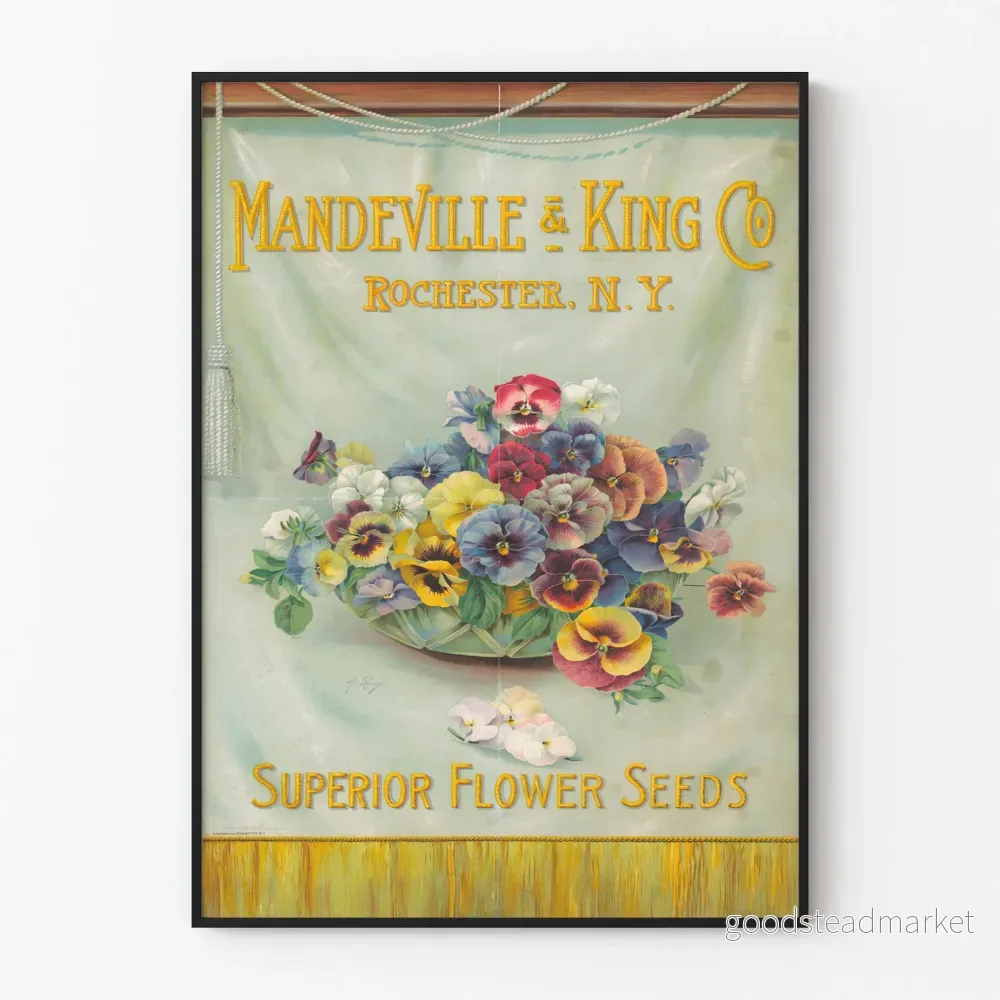 Vintageposter med blommor Penséer Mandeville & King Co