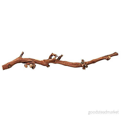 Trixie Grape Vine water blasted for birds and small animals 40 55cm 4011905761701