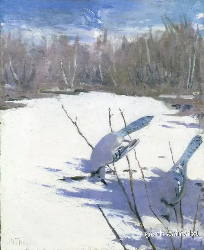 Målning Les geais bleus en hiver étudient pour un livre dissimulant la coloration du règne animal - Abbott Handerson Thayer | Konsttryck - Bild 2