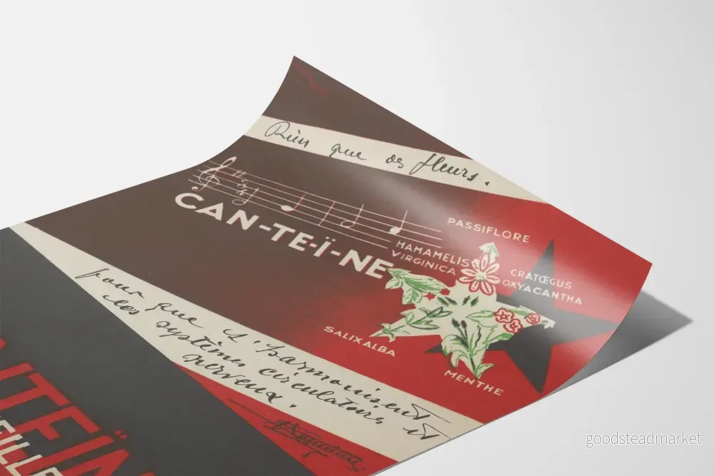 Vintageposter Canteïne väggdekoration med växtmotiv - Bild 3